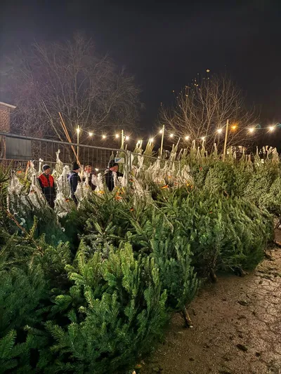 13607751 8787 459c A810 78c5e0bd7fa2 Scaled.jpeg